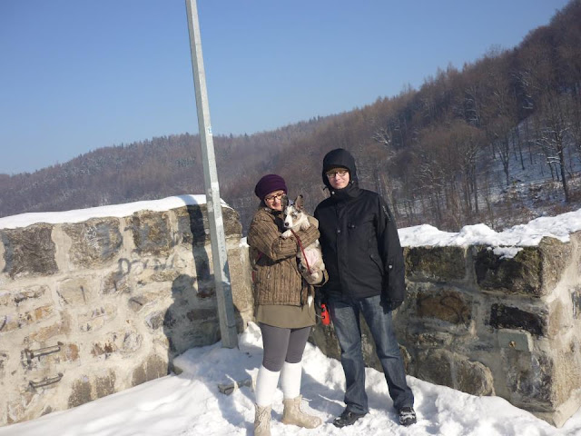 welsh corgi cardigan welsh corgi, welsh corgi cardigan, corgi, podróże, podróże z psem, z psem w podróży, wakacje z psem, życie z psem, z psem przez świat